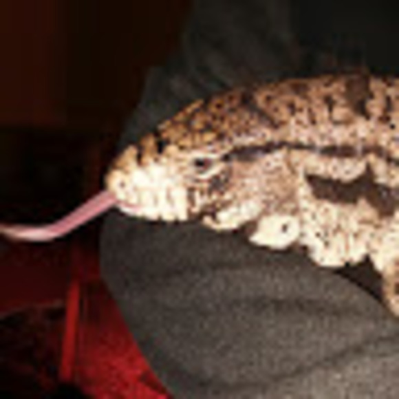 pablohagane